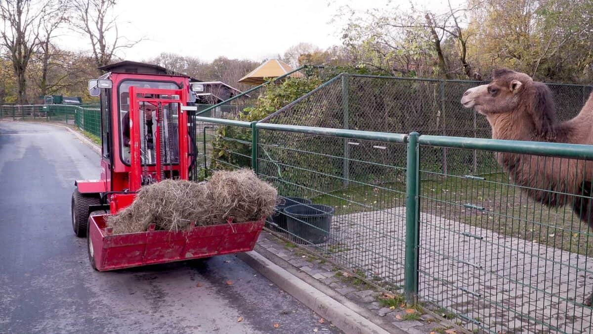 Uni-Truck Schaufel 2